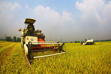Transmisión cosechadora de arroz